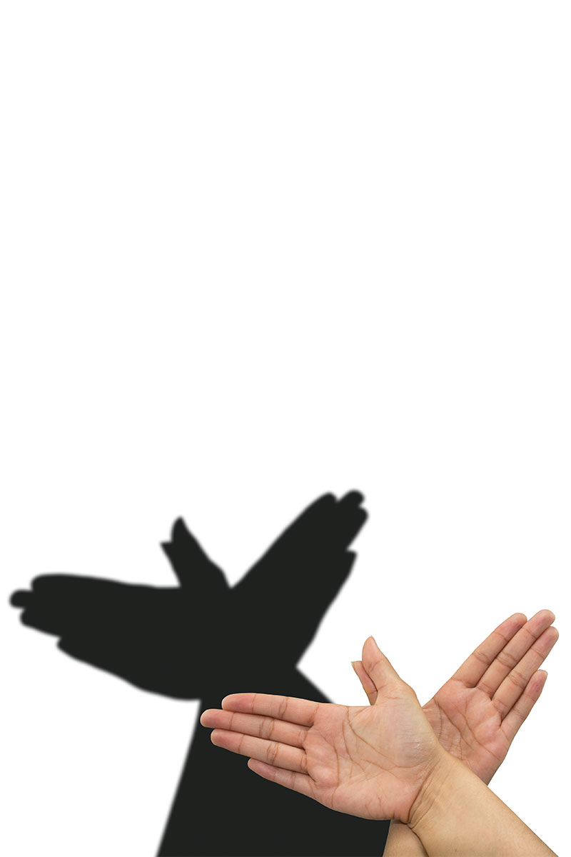 banner-3 banner-3